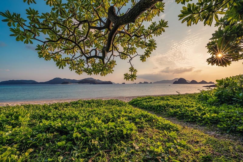 Nature Photography